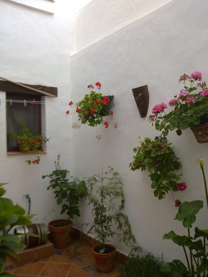Casa Los Tres Aires El Rocio Ngoại thất bức ảnh