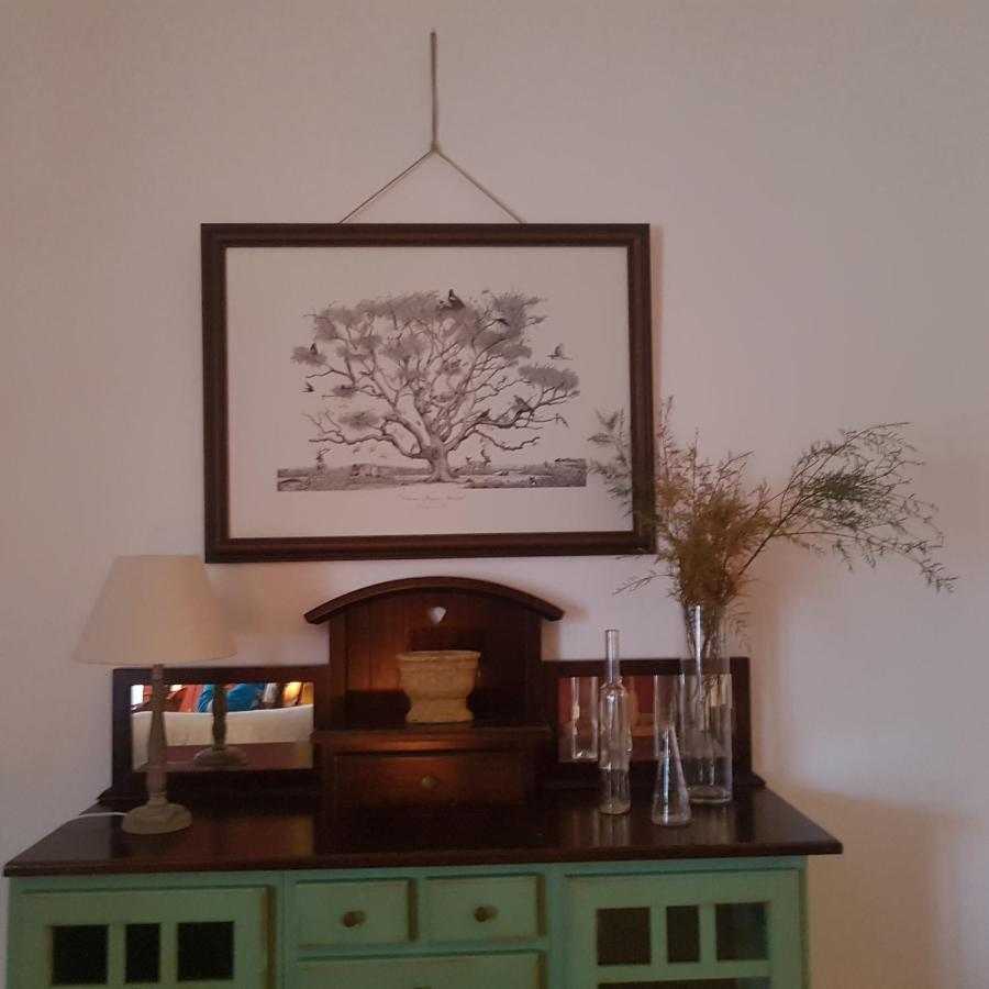 Casa Los Tres Aires El Rocio Ngoại thất bức ảnh